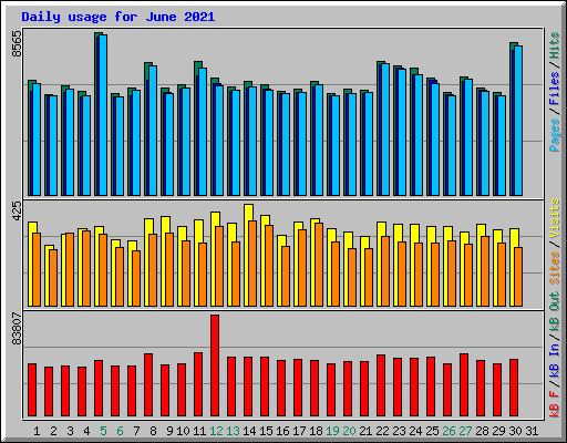 Daily usage for June 2021
